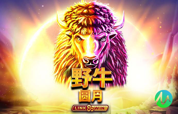 问鼎体育app官方下载最新版上线 2026年全新功能与体验全面解析